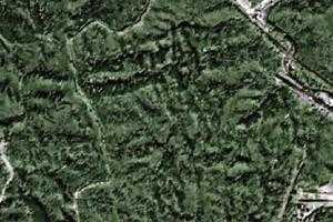北京八达岭国家森林旅游地图_北京八达岭国家森林卫星地图_北京八达岭国家森林景区地图