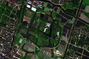 上海多利农庄生态园旅游地图_上海多利农庄生态园卫星地图_上海多利农庄生态园景区地图