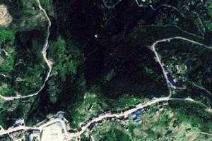 万州大垭口森林旅游地图_万州大垭口森林卫星地图_万州大垭口森林景区地图