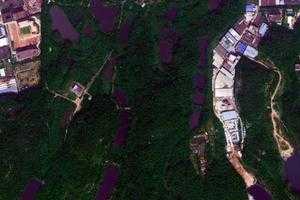 广州大夫山森林旅游地图_广州大夫山森林卫星地图_广州大夫山森林景区地图