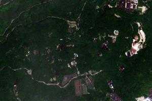 溫州景山旅遊地圖_溫州景山衛星地圖_溫州景山景區地圖