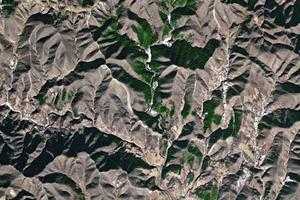 九龍山國家森林旅遊地圖_九龍山國家森林衛星地圖_九龍山國家森林景區地圖
