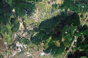 柳州君武森林旅游地图_柳州君武森林卫星地图_柳州君武森林景区地图
