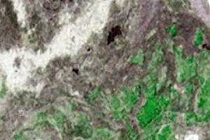 新疆沙雅沙雁洲旅遊地圖_新疆沙雅沙雁洲衛星地圖_新疆沙雅沙雁洲景區地圖