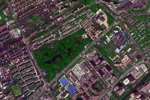 上海古猗园旅游地图_上海古猗园卫星地图_上海古猗园景区地图