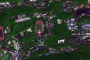 武漢大學旅遊地圖_武漢大學衛星地圖_武漢大學景區地圖