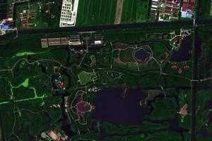 上海海灣國家森林旅遊地圖_上海海灣國家森林衛星地圖_上海海灣國家森林景區地圖