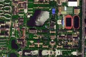 天津大学旅游地图_天津大学卫星地图_天津大学景区地图