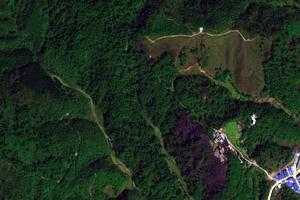 貴陽森林旅遊地圖_貴陽森林衛星地圖_貴陽森林景區地圖
