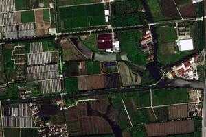 上海菲尼克斯莊園旅遊地圖_上海菲尼克斯莊園衛星地圖_上海菲尼克斯莊園景區地圖