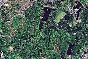 湖南省森林植物園旅遊地圖_湖南省森林植物園衛星地圖_湖南省森林植物園景區地圖