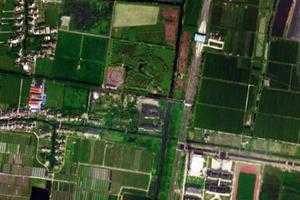 上海中国农民画村旅游地图_上海中国农民画村卫星地图_上海中国农民画村景区地图