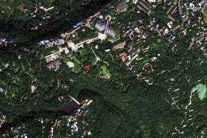 重庆南山植物园旅游地图_重庆南山植物园卫星地图_重庆南山植物园景区地图