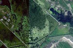 大庆龙凤湿地自然保护区旅游地图_大庆龙凤湿地自然保护区卫星地图_大庆龙凤湿地自然保护区景区地图
