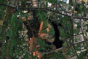 文昌椰子大观园旅游地图