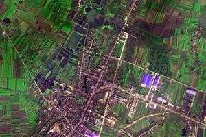 长埫口镇卫星地图-湖北省仙桃市豆河镇、村地图浏览
