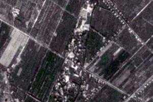 庫爾瑪鄉衛星地圖-新疆維吾爾自治區阿克蘇地區喀什地區麥蓋提縣胡楊林場、村地圖瀏覽