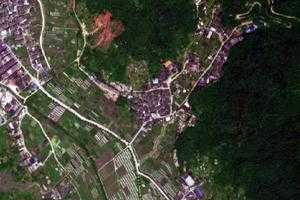 东山卫星地图-浙江省温州市泰顺县南浦溪镇地图浏览