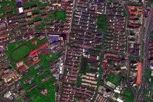 新虹衛星地圖-上海市閔行區浦錦街道地圖瀏覽
