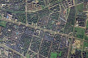 银杏卫星地图-四川省成都市都江堰市奎光塔街道地图浏览