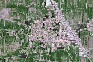 望树镇卫星地图-河北省沧州市盐山县望树镇、村地图浏览