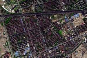三林鎮衛星地圖-上海市浦東新區南匯新城鎮、村地圖瀏覽