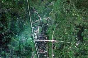 协兴镇卫星地图-四川省广安市广安区协兴镇、村地图浏览