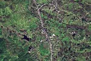 南桥镇卫星地图-湖南省永州市东安县大庙口林场、村地图浏览