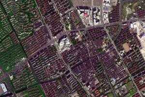 七寶鎮衛星地圖-上海市閔行區浦錦街道、村地圖瀏覽
