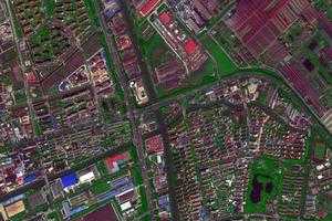 月浦鎮衛星地圖-上海市寶山區寶山城市工業園區、村地圖瀏覽
