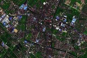 大團鎮衛星地圖-上海市浦東新區南匯新城鎮、村地圖瀏覽