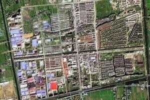 新集镇卫星地图-江苏省扬州市仪征市原种场、村地图浏览