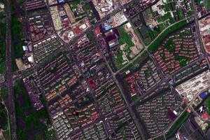 唐鎮衛星地圖-上海市浦東新區南匯新城鎮、村地圖瀏覽
