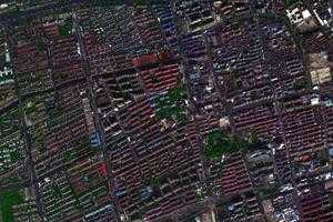 川沙新镇卫星地图-上海市浦东新区南汇新城镇、村地图浏览
