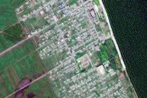 愛輝鎮衛星地圖-黑龍江省黑河市愛輝區西崗子試驗林場、村地圖瀏覽
