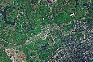 林丰乡卫星地图-四川省宜宾市南溪区仙源街道、村地图浏览