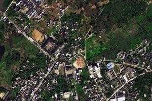南海卫星地图-广东省茂名市电白区电海街道地图浏览