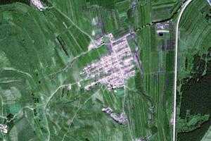 碱场卫星地图-黑龙江省鸡西市梨树区梨树镇地图浏览