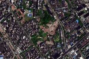 龙华区卫星地图-广东省深圳市龙华区地图浏览
