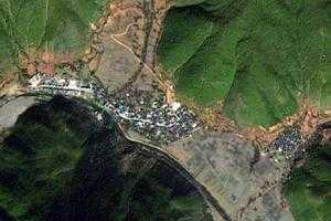 塔城鎮衛星地圖-雲南省迪慶藏族自治州維西傈僳族自治縣塔城鎮、村地圖瀏覽