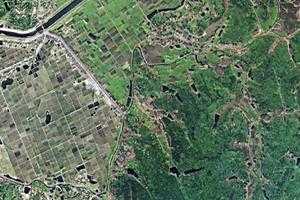 果园镇卫星地图-湖南省长沙市长沙县长龙街道、村地图浏览