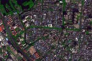 多寶衛星地圖-廣東省廣州市荔灣區茶蚪值地圖瀏覽