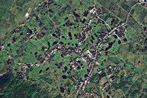 梅溪镇卫星地图-湖南省永州市祁阳县原种场、村地图浏览