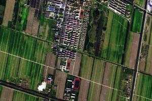东平镇卫星地图-上海市崇明区前卫农场、村地图浏览