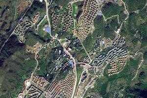 仙女山镇卫星地图-重庆市仙女山镇、村地图浏览