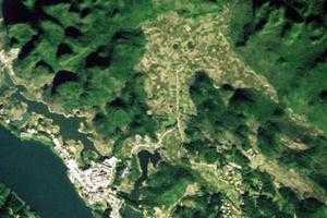 长乐镇卫星地图-广西壮族自治区河池市东兰县长乐镇、村地图浏览