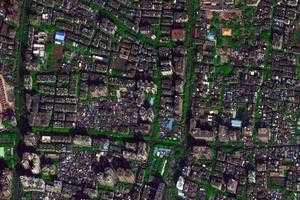 金花卫星地图-广东省广州市荔湾区茶蚪值地图浏览