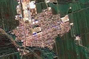 七棵树镇卫星地图-黑龙江省齐齐哈尔市龙江县七棵树镇、村地图浏览