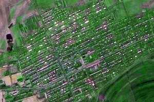 绥东镇卫星地图-黑龙江省鹤岗市绥滨县绥滨西林场、村地图浏览