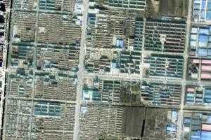 武城镇卫星地图-山东省聊城市武城镇、村地图浏览